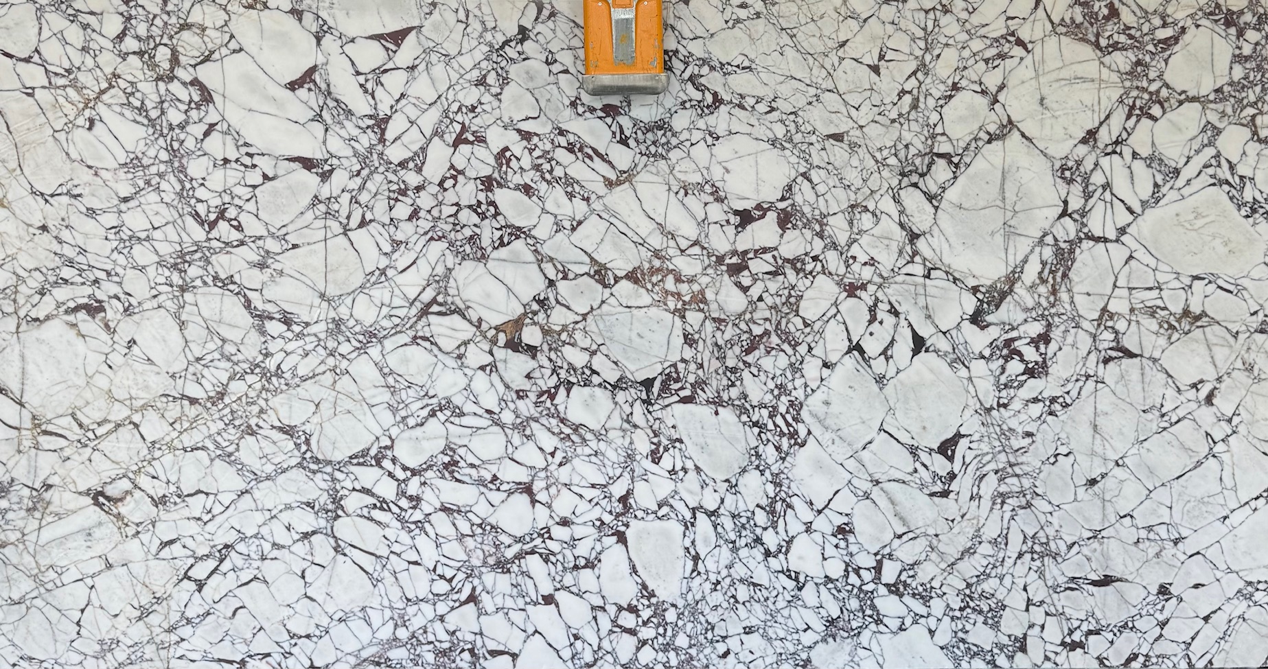 CALACATTA VIOLA HONED - Ceramic Tile Center